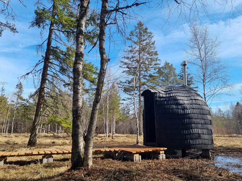 Jogisoo Sambliku Treehouseヴィラ エクステリア 写真