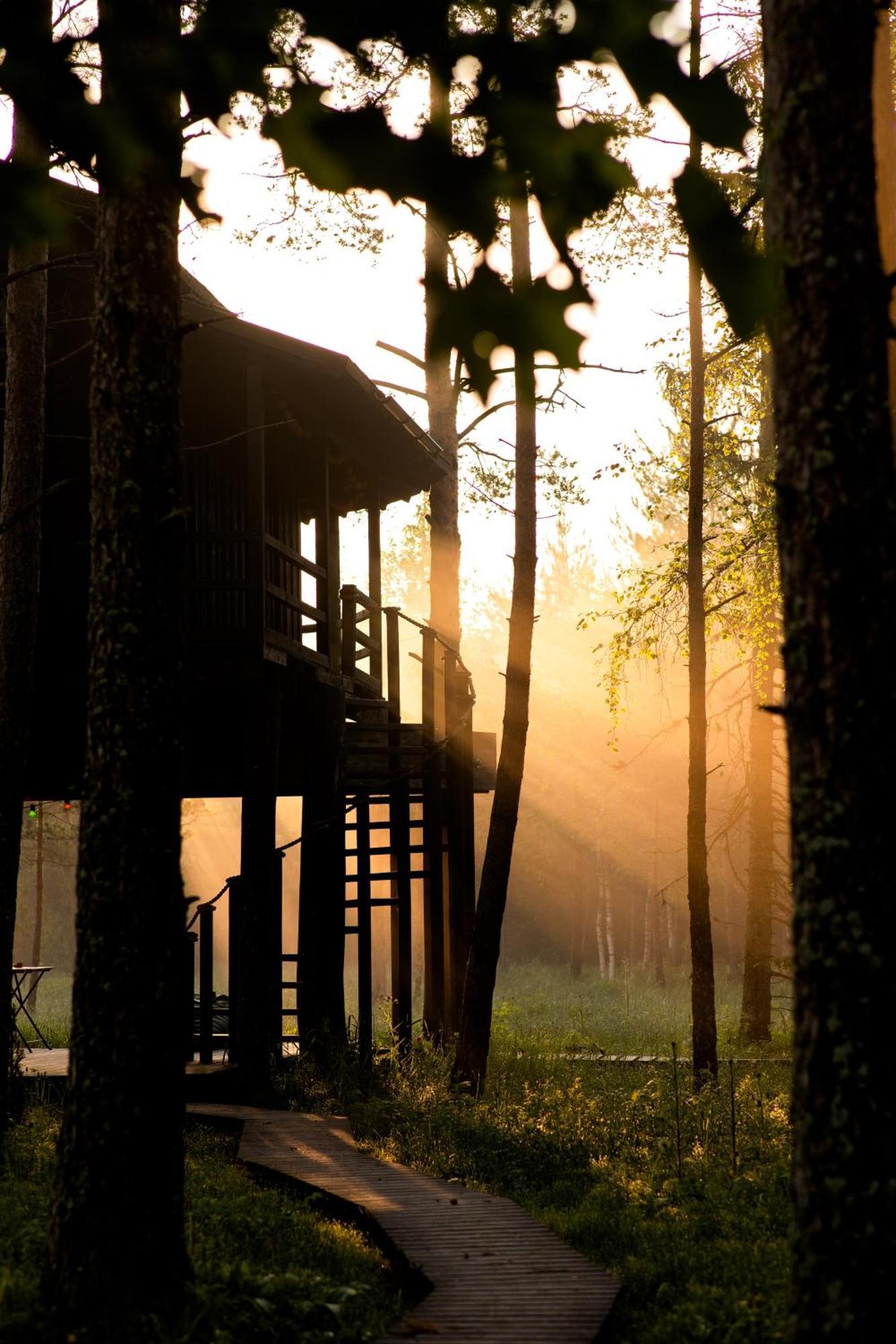 Jogisoo Sambliku Treehouseヴィラ エクステリア 写真